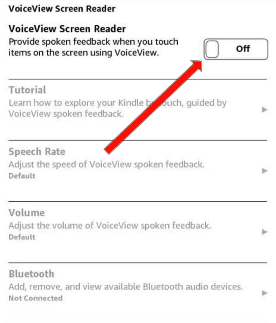 voiceview screen reader kindle